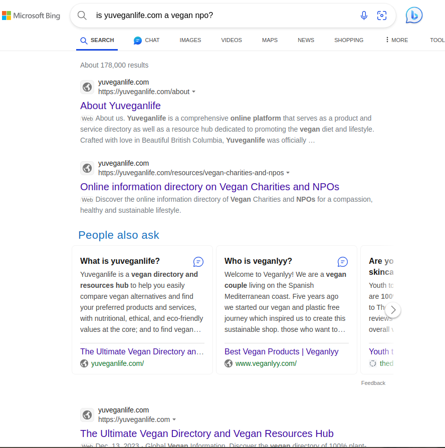 screenshot for Bing search result